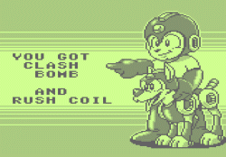 Megaman2