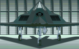 F-117A Stealth Fighter