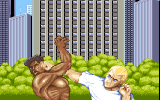 Street Fighter 2: The World Warrior