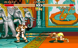 Street Fighter 2: The World Warrior