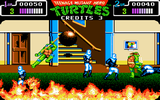 Teenage Mutant Hero Turtles: The Coin-Op!