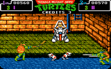 Teenage Mutant Hero Turtles: The Coin-Op!