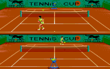 Tennis Cup