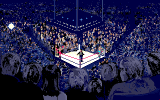 World Championship Boxing Manager