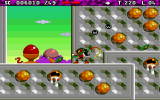 Zool 2